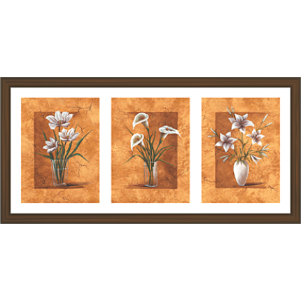 Floral Art Paintings (FHT-922)